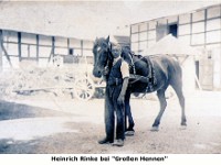 b22 - Heinrich Rinke bei Grossen Hennen